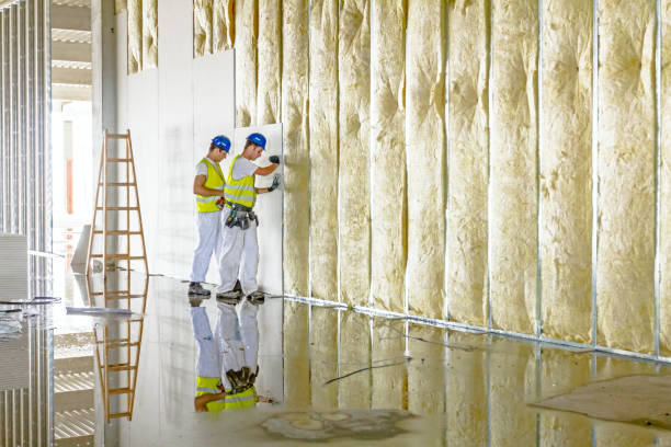 Best Eco-Friendly or Green Insulation Solutions  in Capac, MI